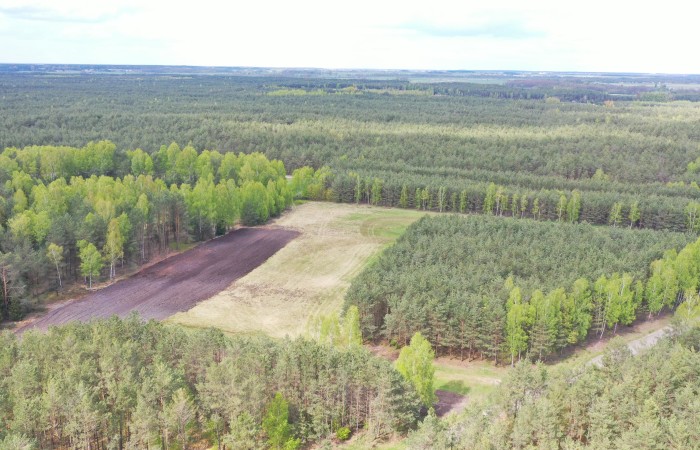 kolneński, Kolno, Niksowizna, Wyjątkowa Okazja - 6 Działek Rolno-Leśnych