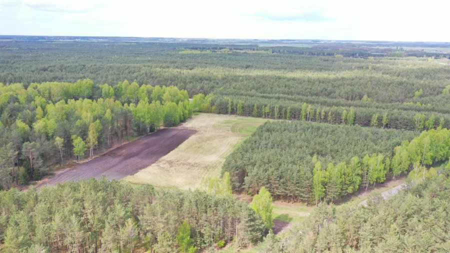 kolneński, Kolno, Niksowizna, Wyjątkowa Okazja - 6 Działek Rolno-Leśnych