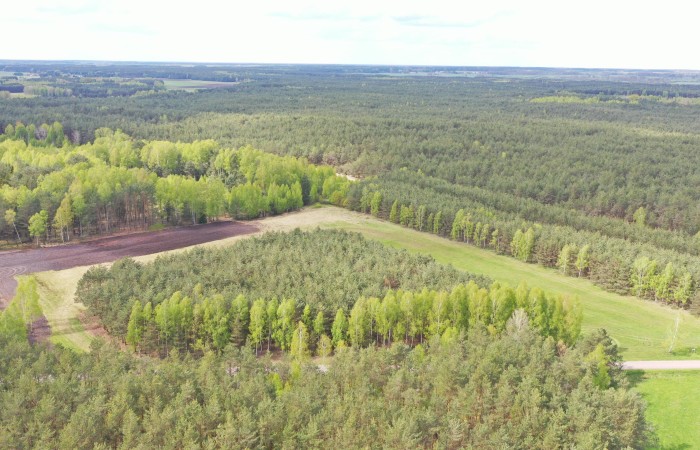 kolneński, Kolno, Niksowizna, Wyjątkowa Okazja - 6 Działek Rolno-Leśnych