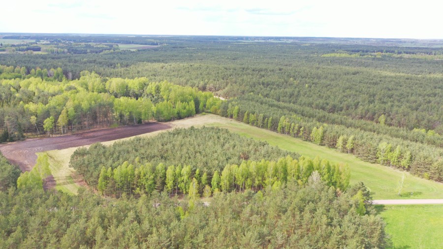 kolneński, Kolno, Niksowizna, Wyjątkowa Okazja - 6 Działek Rolno-Leśnych