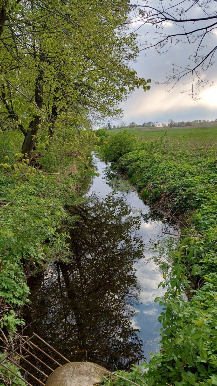 kętrzyński, Reszel, Kocibórz, Urokliwy dom na Mazurach