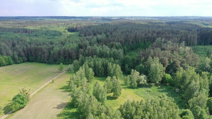 węgorzewski, Pozezdrze, Harsz, Atrakcyjne działki z potencjałem w Harszu