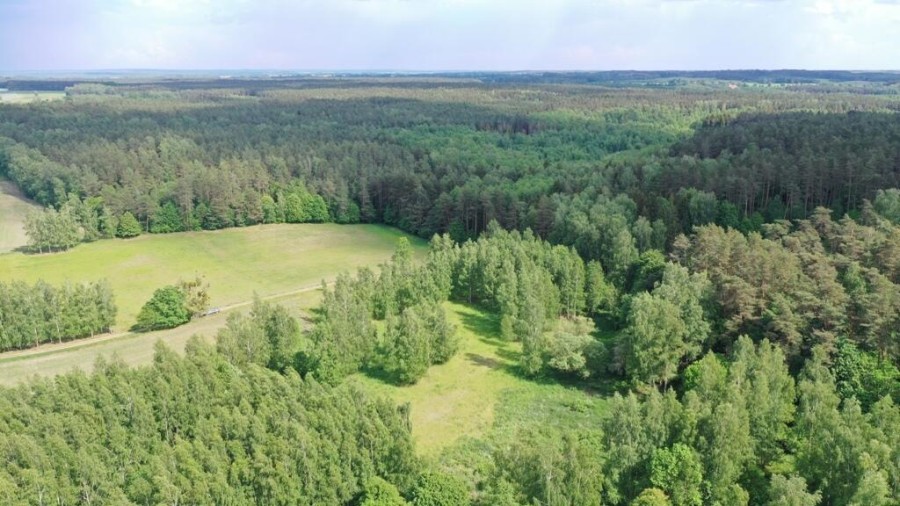 węgorzewski, Pozezdrze, Harsz, Atrakcyjne działki z potencjałem w Harszu