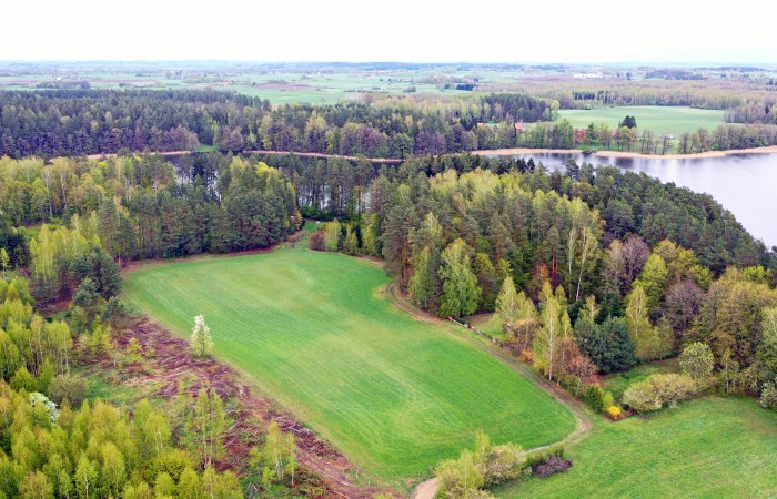 giżycki, Wydminy, Sucholaski, Działka z linią brzegową na półwyspie - Sucholaski