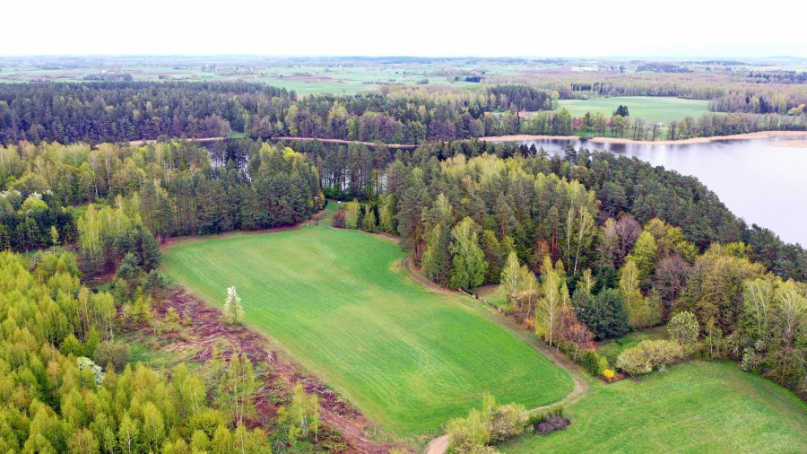 giżycki, Wydminy, Sucholaski, Działka z linią brzegową na półwyspie - Sucholaski